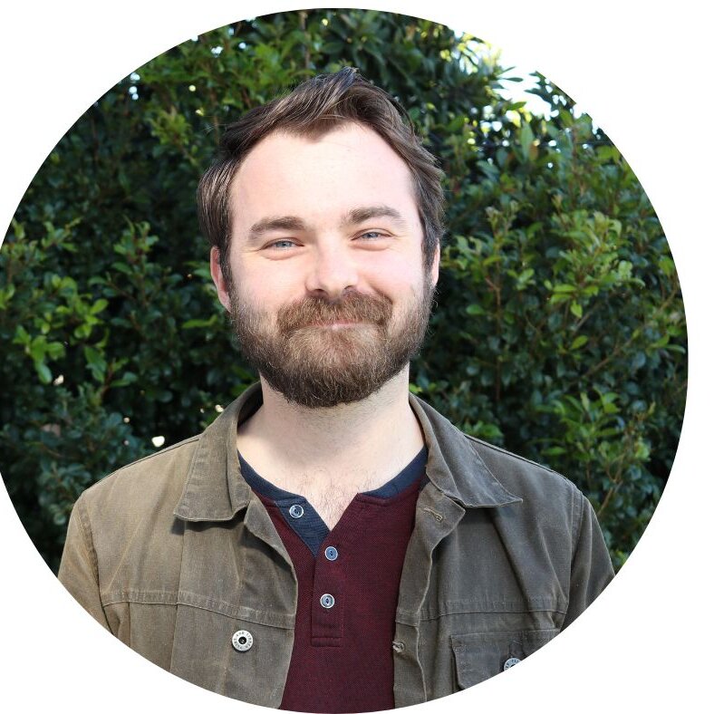 Proficient Behaviour Support Practitioner