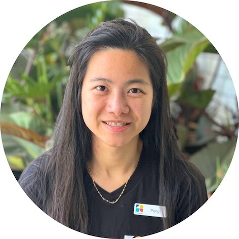 250 x 250 px - profile photos and google logo - Peng